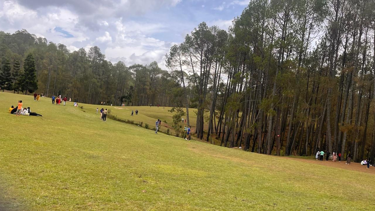 Upat Golf Course with pine forest backdrop