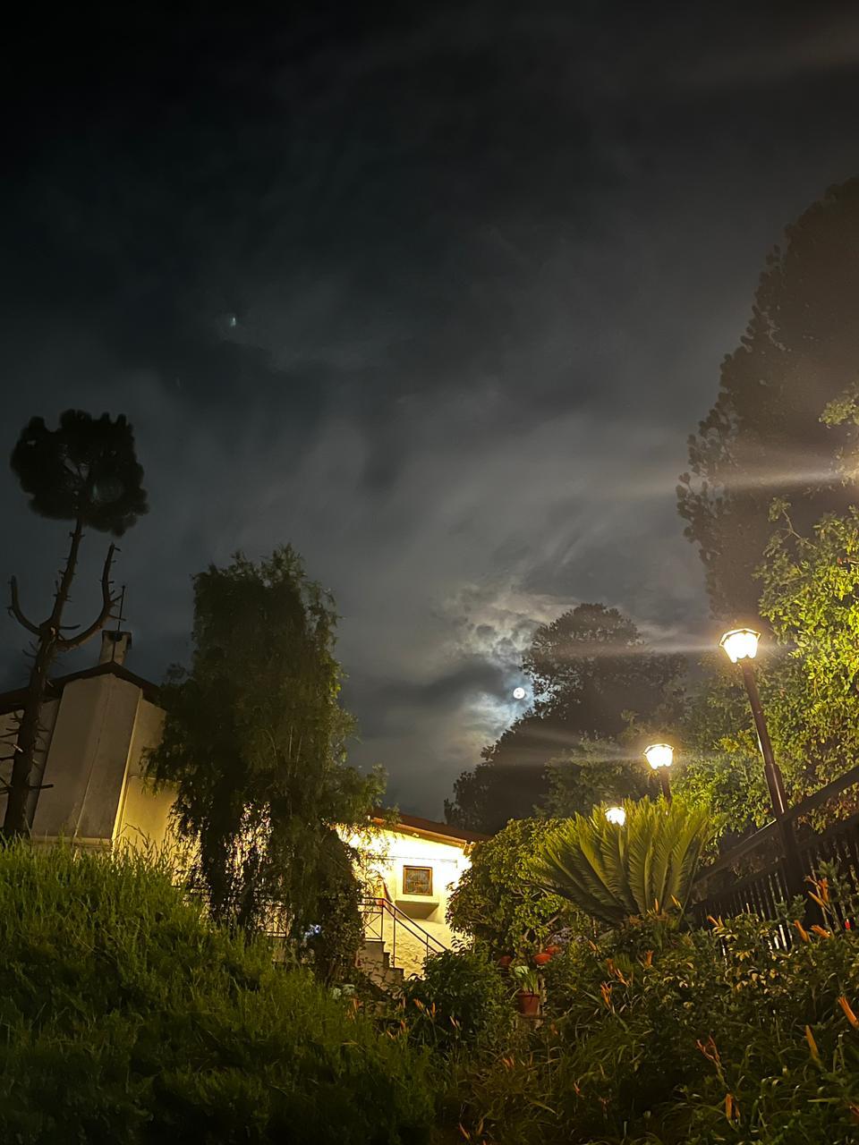 Resort garden under moonlight